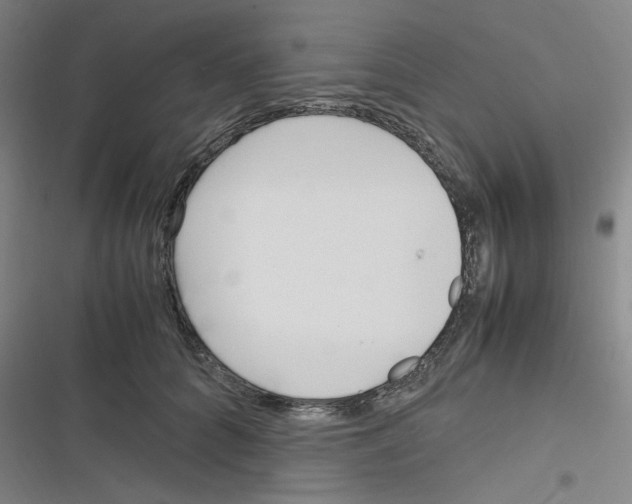 X0000116290704201001111057