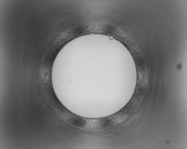 X0000116290705201001111057