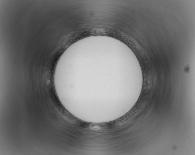 X0000116290706201001111056