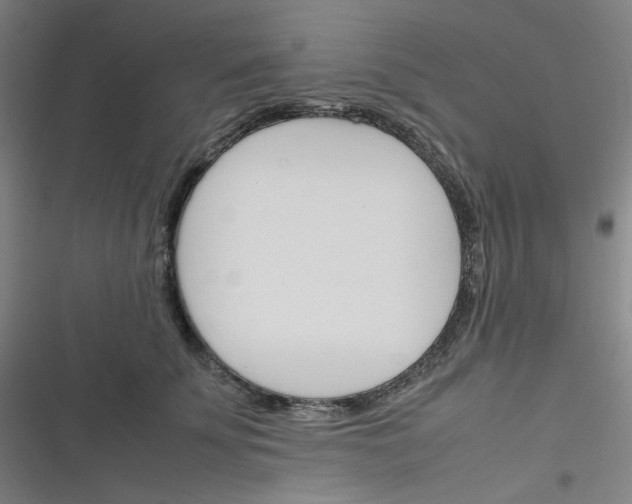 X0000116290707201001111056