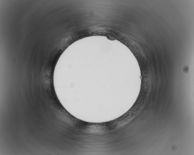 X0000116290708201001111056