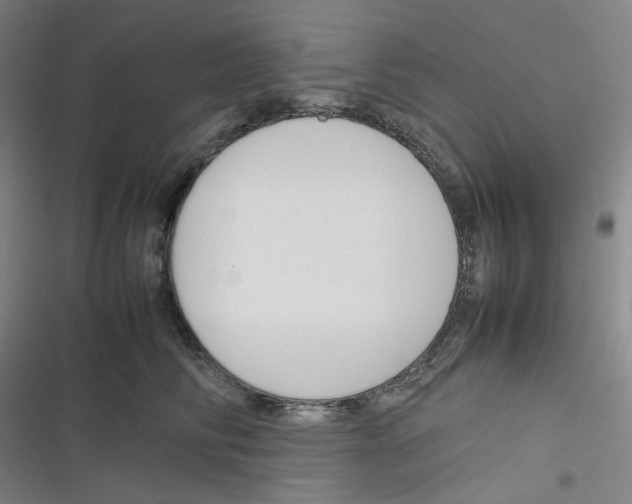 X0000116290710201001111056