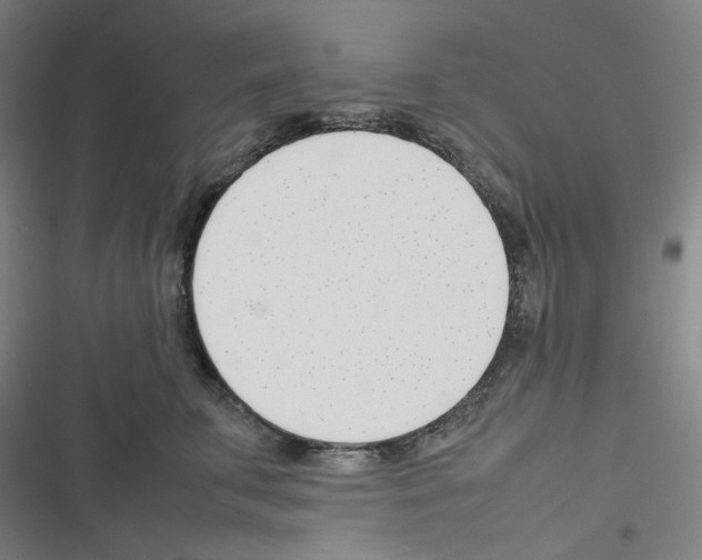 X0000116290711201001111056