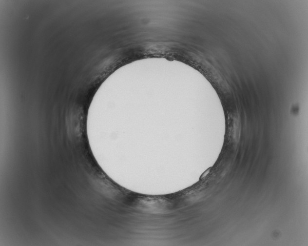 X0000116290712201001111056