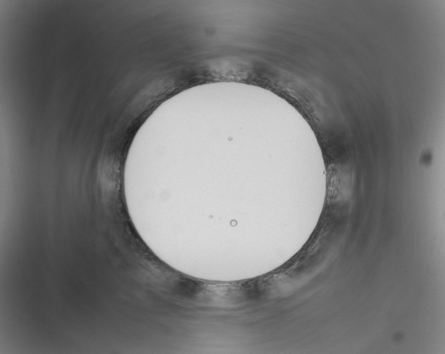 X0000116290713201001111056