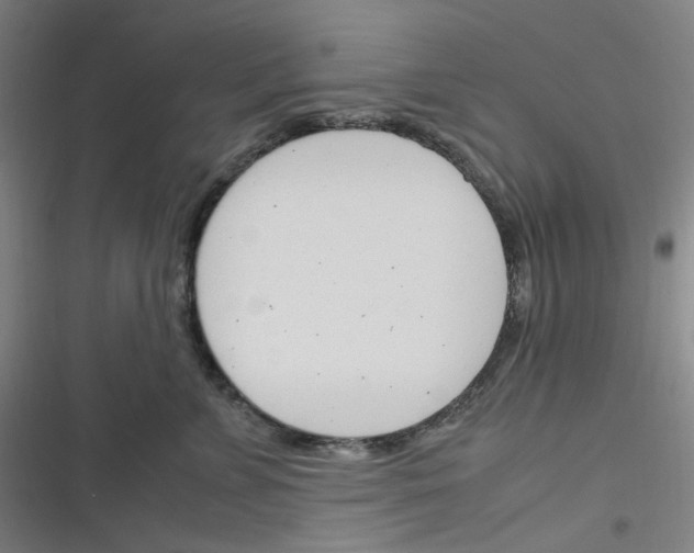 X0000116290715201001111056