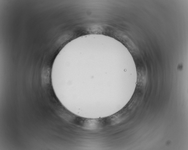 X0000116290717201001111056