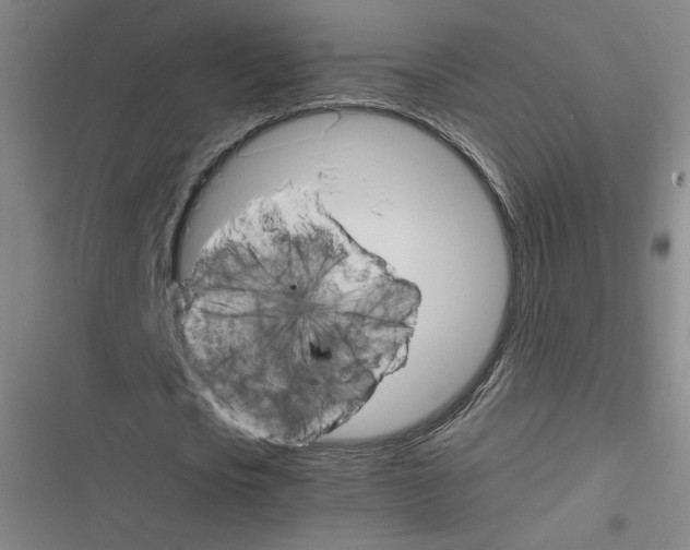 X0000116290721201001111056