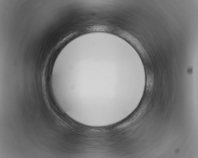 X0000116290722201001111056