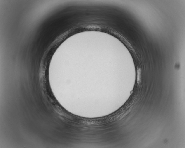 X0000116290723201001111056