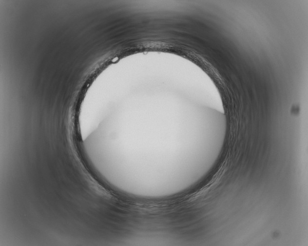 X0000116290725201001111056