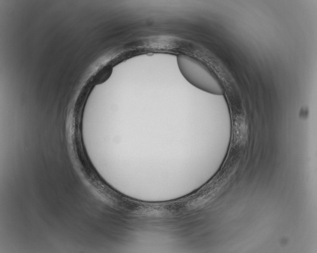 X0000116290726201001111056