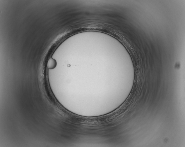 X0000116290727201001111056