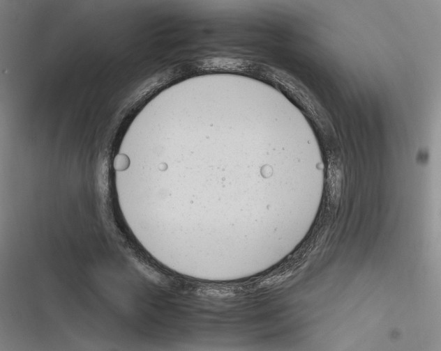 X0000116290729201001111056