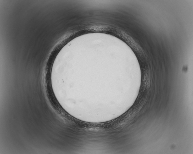 X0000116290730201001111056