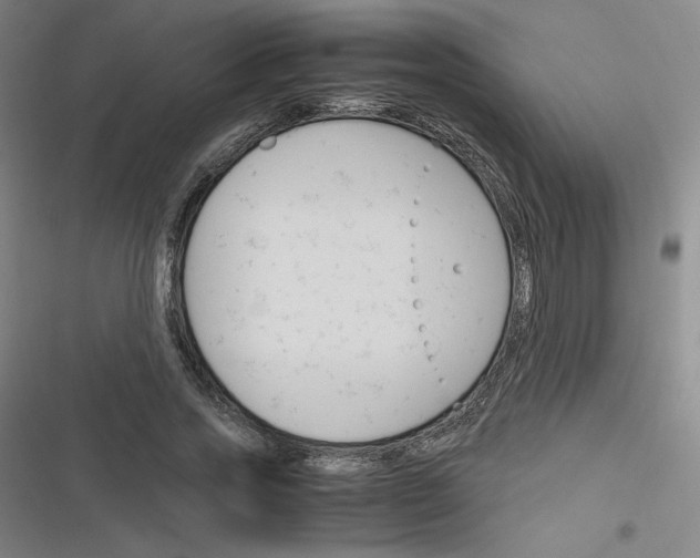 X0000116290733201001111056