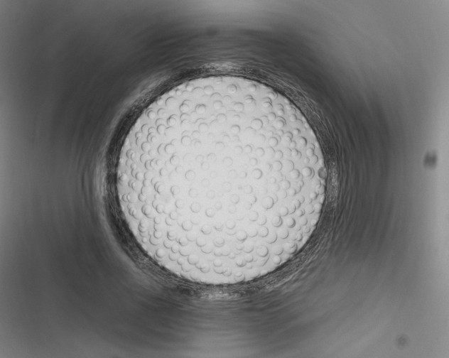 X0000116290734201001111056