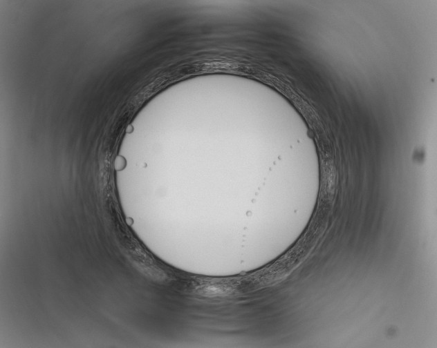 X0000116290737201001111056