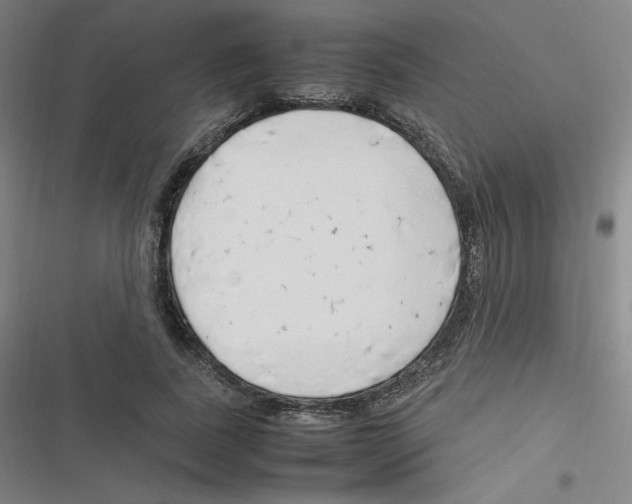 X0000116290739201001111056