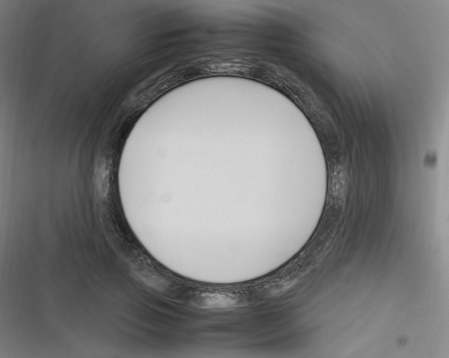 X0000116290741201001111056