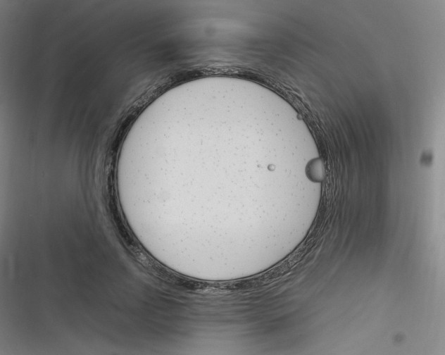 X0000116290742201001111056