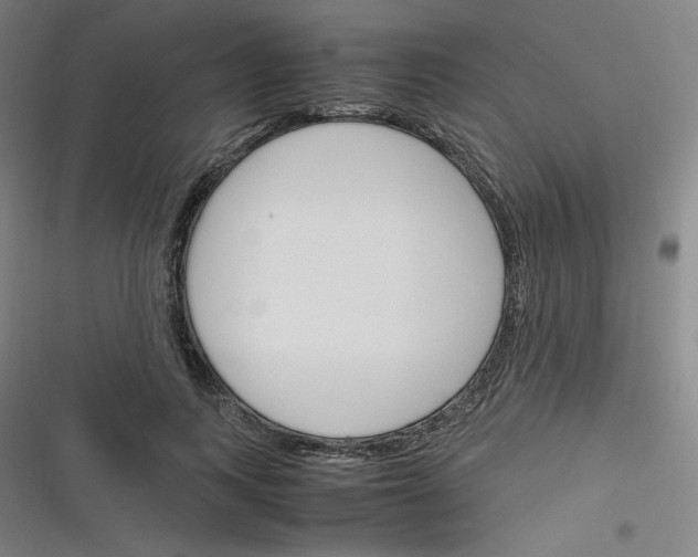 X0000116290743201001111056