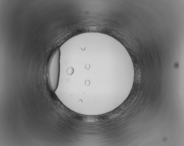 X0000116290746201001111056