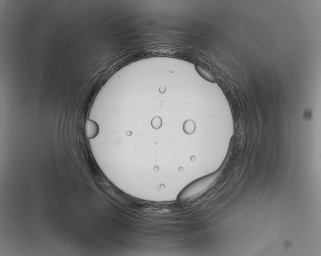 X0000116290747201001111056