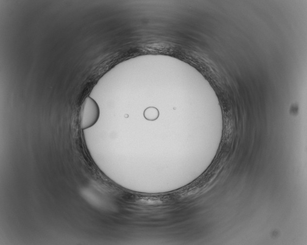 X0000116290749201001111056