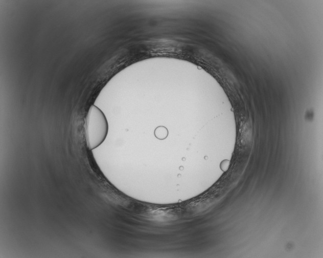 X0000116290753201001111056