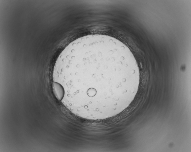 X0000116290755201001111056