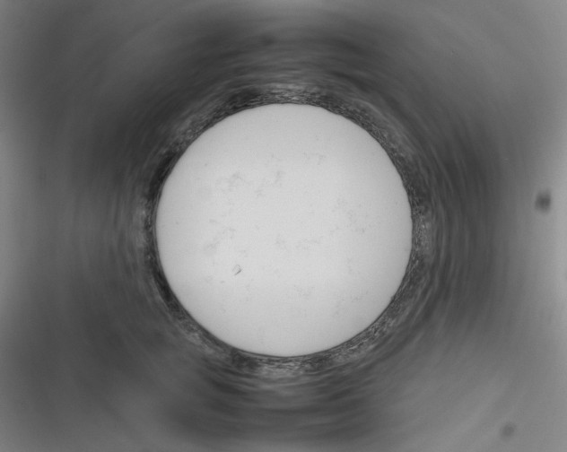 X0000116290757201001111056