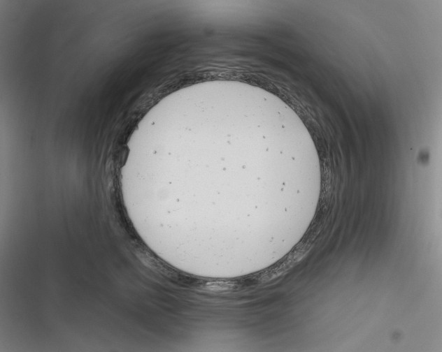 X0000116290758201001111056