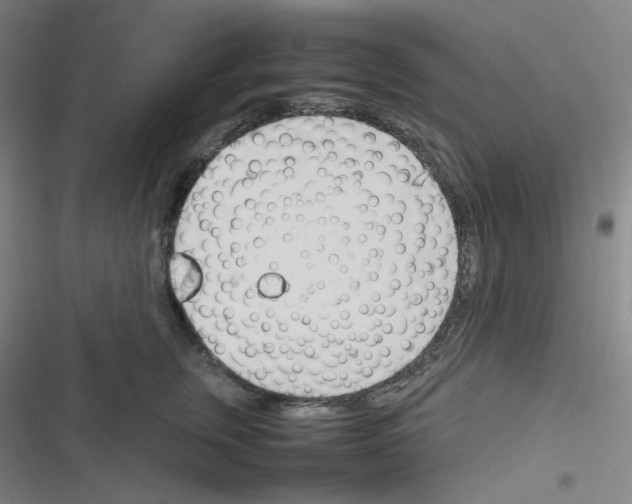 X0000116290759201001111056