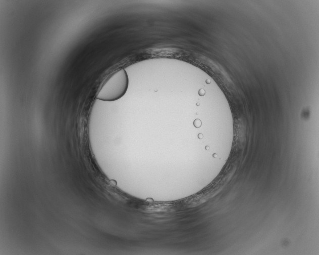 X0000116290761201001111056