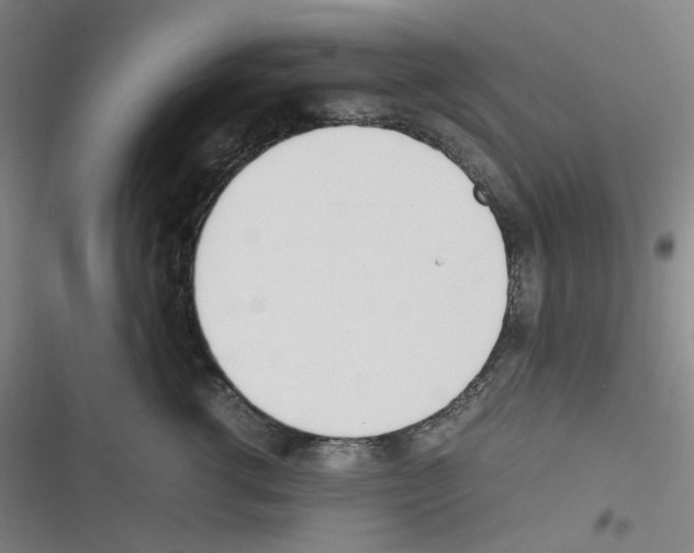 X0000116290762201001111056