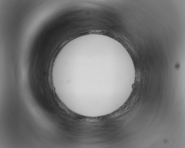 X0000116290763201001111056