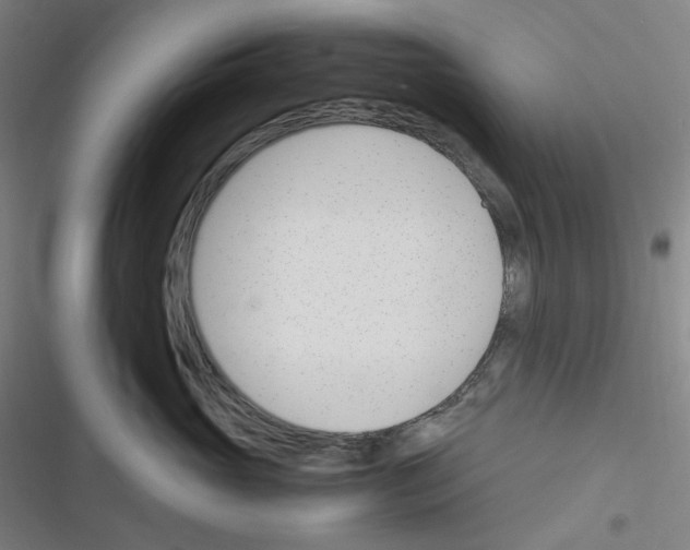 X0000116290765201001111056