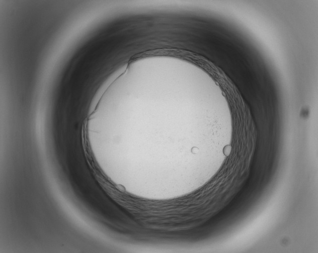 X0000116290766201001111056