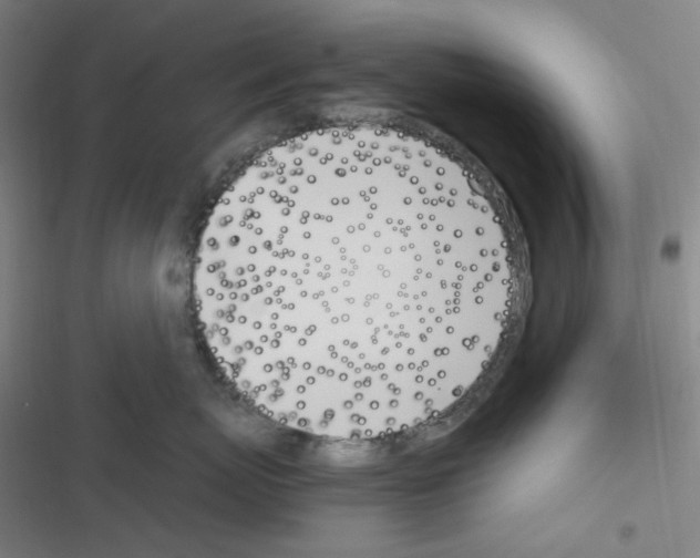 X0000116290767201001111056