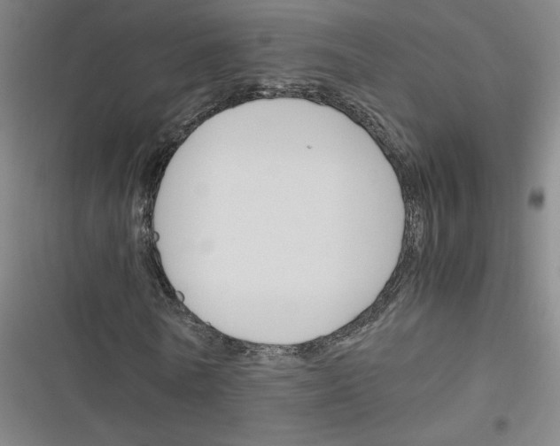 X0000116290770201001111056