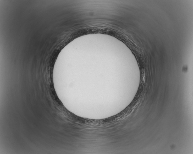 X0000116290771201001111056