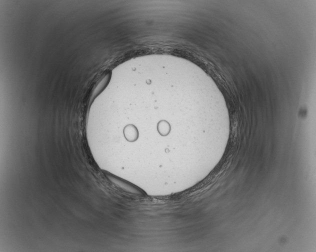 X0000116290772201001111056