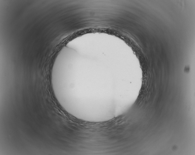 X0000116290773201001111056