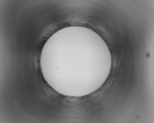 X0000116290774201001111056