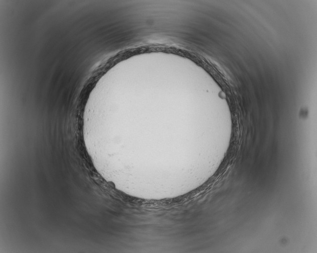 X0000116290776201001111056