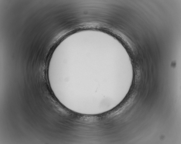 X0000116290778201001111056