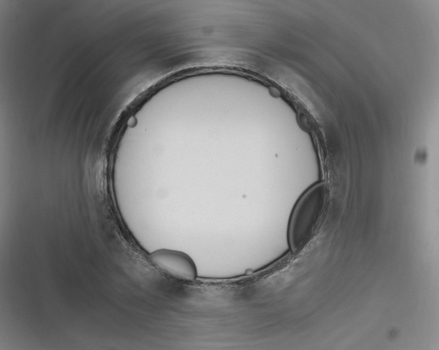 X0000116290781201001111055