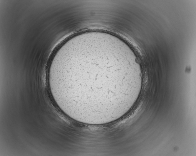 X0000116290782201001111055