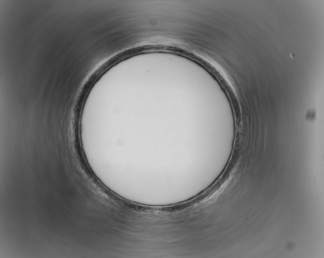 X0000116290783201001111055